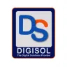 DigiSol logo — The Digital Solutions Provider, with blue and orange DS monogram